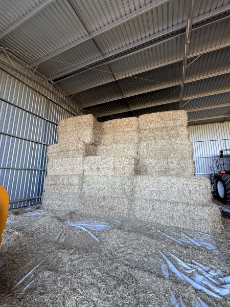 140tn A2 Wheaten Hay 640kg 8x4x3 Bales