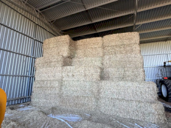 140tn A2 Wheaten Hay 640kg 8x4x3 Bales