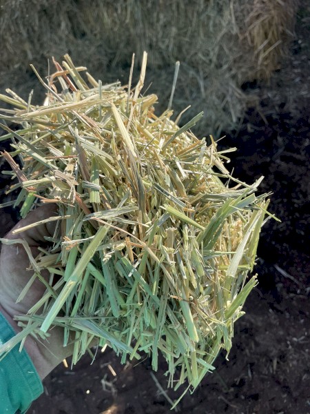 300 x Mixed Oaten/Wheaten Hay 560-575kg 8x4x3 Bales (Seconds)