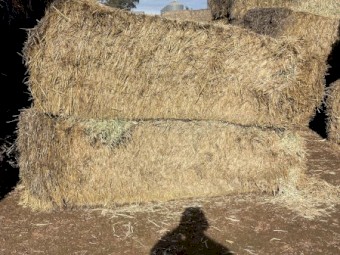 300 x Mixed Oaten/Wheaten Hay 560-575kg 8x4x3 Bales (Seconds)