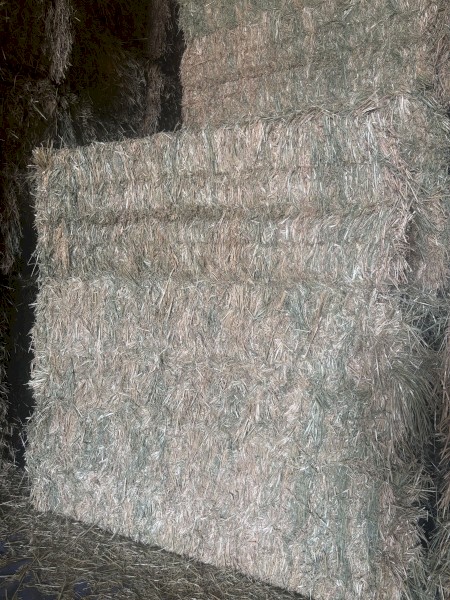 200mt Oaten Hay 680kg 8x4x3 Bales