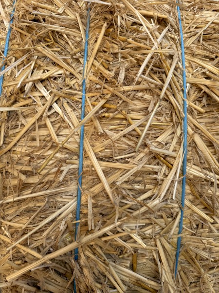 500mt Wheaten Straw 450-480kg 8x4x3 Bales