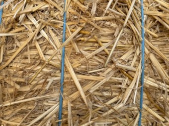 500mt Wheaten Straw 450-480kg 8x4x3 Bales