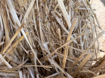 500mt Wheaten Straw 450-480kg 8x4x3 Bales