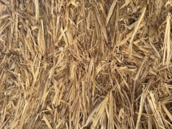 500mt Wheaten Straw 450-480kg 8x4x3 Bales