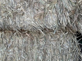200mt Wheaten Hay 670kg 8x4x3 Bales