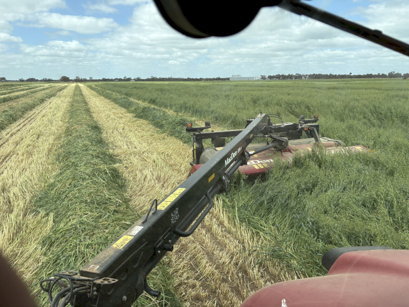 EOI Oaten Hay 650-750kg 8x4x3 Bales (New Season)