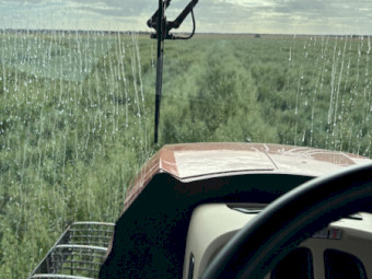 EOI Oaten Hay 650-750kg 8x4x3 Bales (New Season)