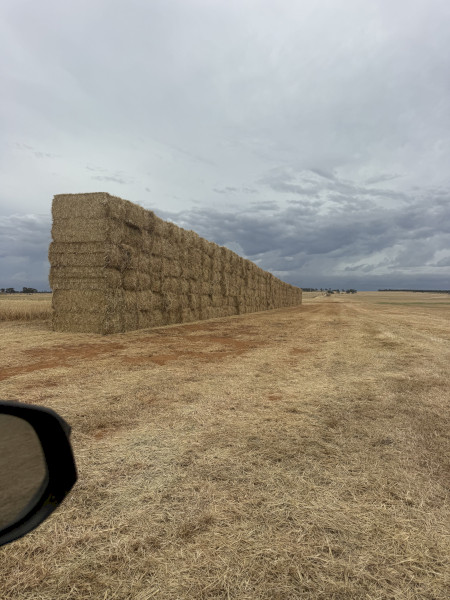 4000mt Oaten Rye Grass Hay 630kg 8x4x3 Bales