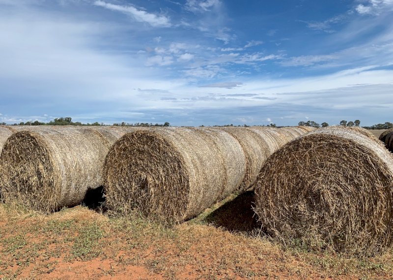 80mt Oaten Hay 5x4 Round Bales