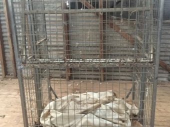 Under Auction - (A133) - Wool Pack Stand B 