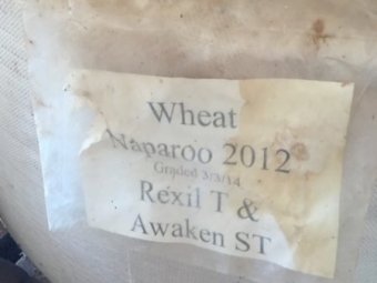 Under Auction - (A133) - Naparoo Seed Wheat 