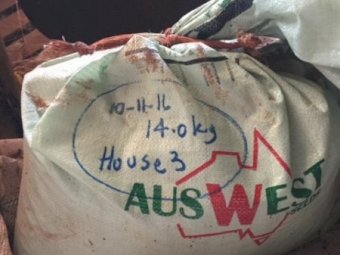 Under Auction - (A133) - Mixed Pasture Seed 