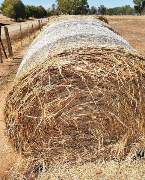 60mt Rye Grass Hay (5x4 Rolls)