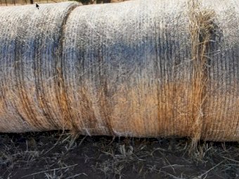 60mt Rye Grass Hay (5x4 Rolls)