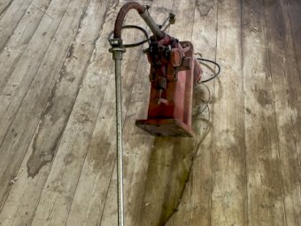 2 x Sunbeam Shearing Plants