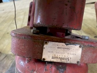 2 x Sunbeam Shearing Plants