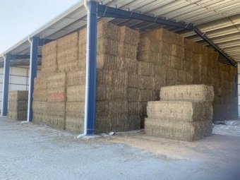 150mt Vetch Hay 8x4x3 Bales