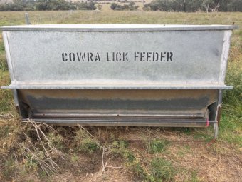 Under Auction - (A133) - Sheep Feeder 10 Cowra Lick A1453 
