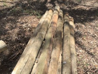 Under Auction - (A133) - Treated Pine Posts 01 -150mm 
