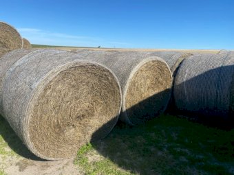Wheaten Hay Rolls