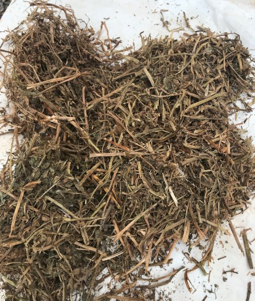 200mt Vetch Hay 620-650kg + 8x4x3 Bales (New Season)