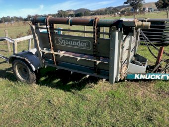 Knuckey Sqounder
