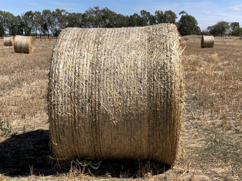 50 x Oaten Hay Rounds