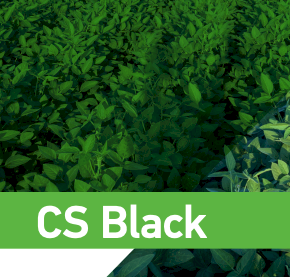 CS Black Liquid Fertliiser