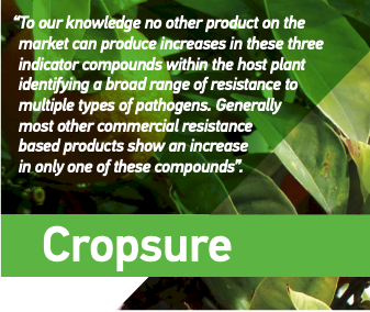 CS Cropsure A+B