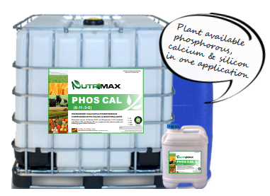 NutriMAX PhosCal
