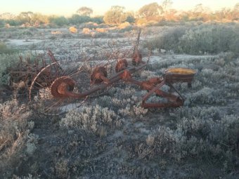 4 Wheel Hay Rake