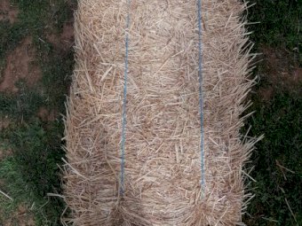 Oaten/Rye  Grass Hay