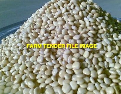 Lupins