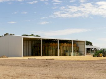 Action Steel 15m x 32m x 6m Hay Shed (860 Bale Capacity)