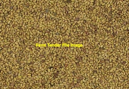 2mt Lucerne Seed - Winter Active 9