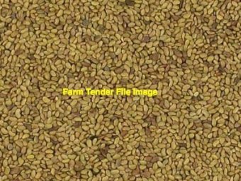 2mt Lucerne Seed - Winter Active 9