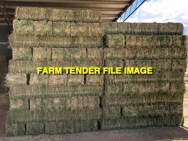 300 x Lucerne Hay Small Square Bales
