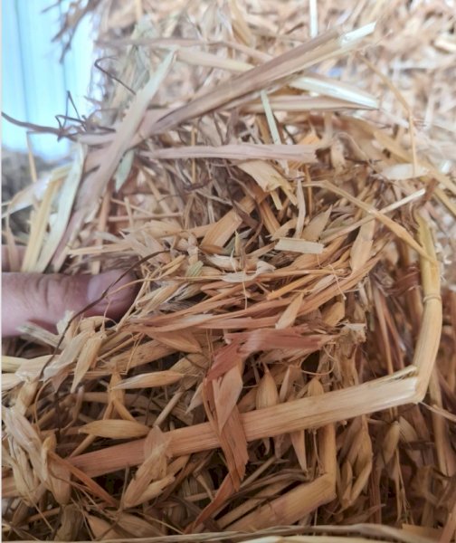 600 x Oaten Hay in Bale Baron packs of 21