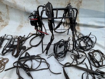 Harness -Suit Pony