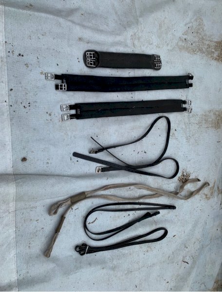 Horse Girth, Stirrups & Reins