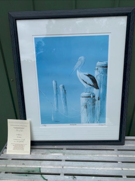 Pelican Picture