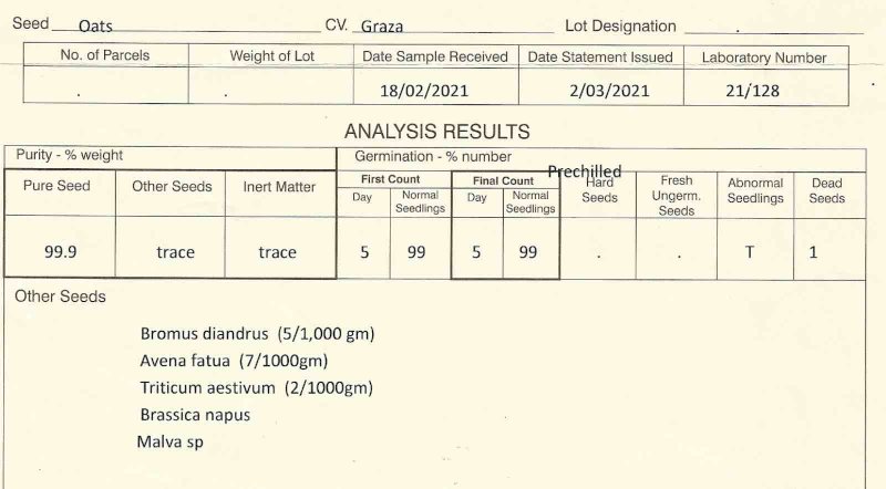 Graza 50 Oats