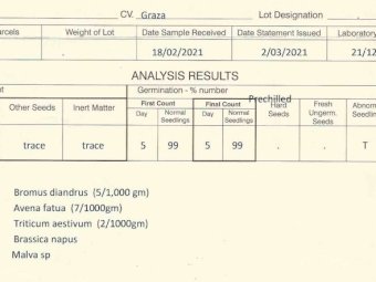 Graza 50 Oats