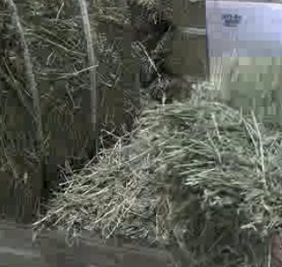 Lucerne Hay Eco Bales
