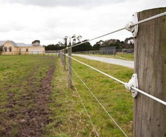 Gallagher Equine Fence Wire