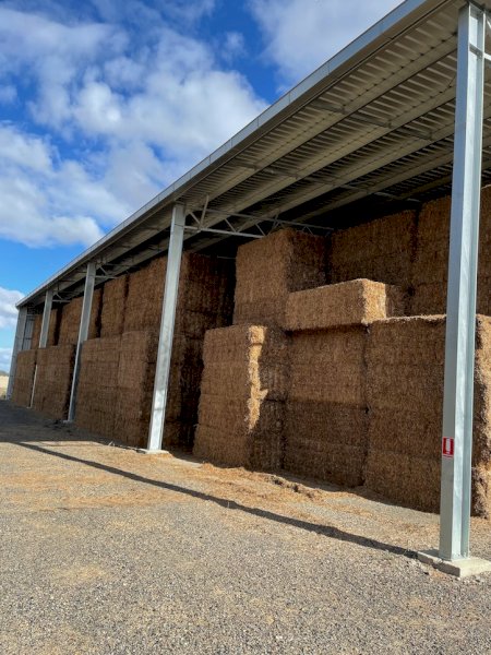 600mt Vetch Hay 640kg 8x4x3 Bales (New Season)