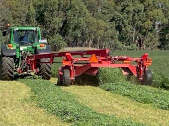 Small Square Lucerne Hay