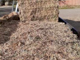 200 Bales of Vetch Hay 2019 Season Shedded