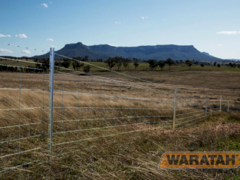 Waratah Stocklock® 6/90/30 - Priced to Clear